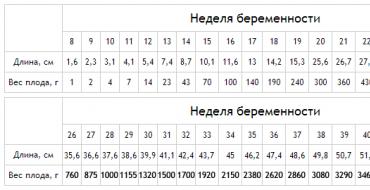 Когда начинает расти живот при беременности Беременность увеличение живота по неделям